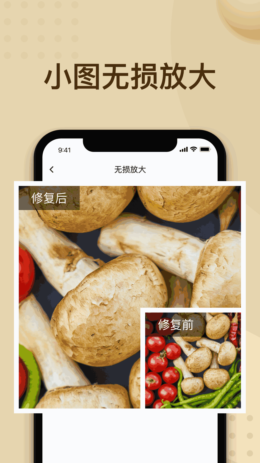 照片修复